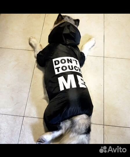 Дождевик для собаки 5XL