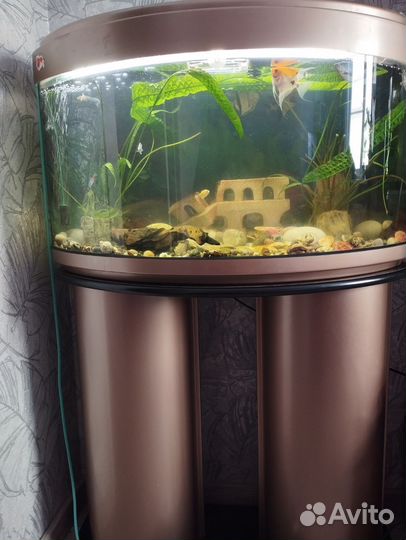 Аквариум с тумбой бу