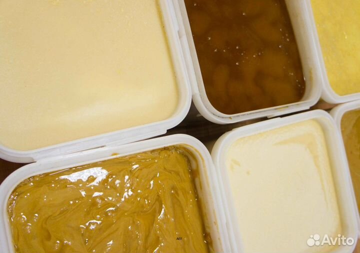 2024 Мед натуральный алтайский опт