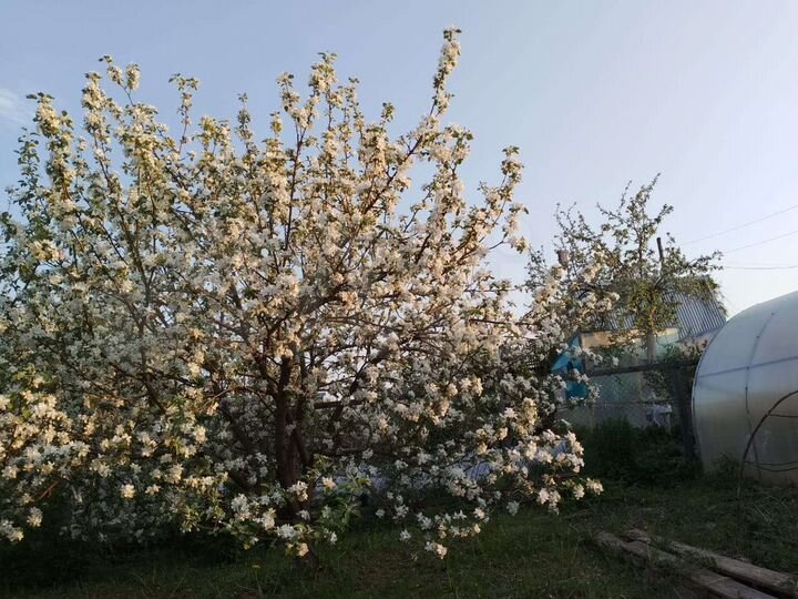 Дача 96 м² на участке 8,5 сот.