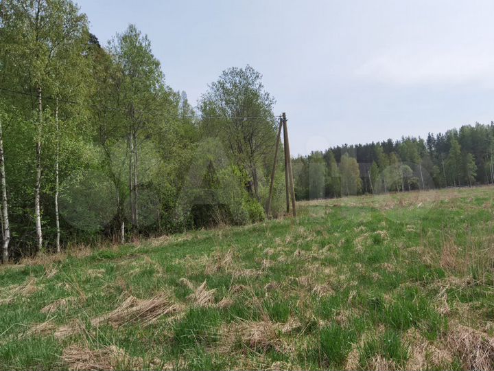 Участок 1,1 га (СНТ, ДНП)