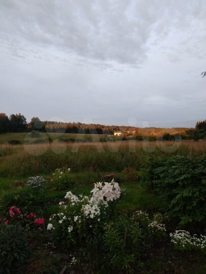 Дом 48,9 м² на участке 15 сот.