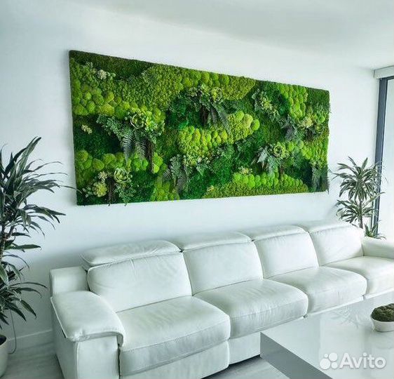 Стабилизированный мох в Краснодаре