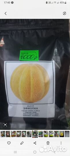 Семена дыни эфиопка