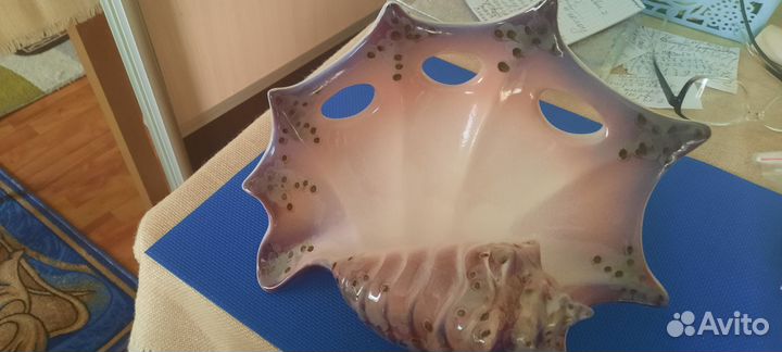 Ракушка фарфоровая