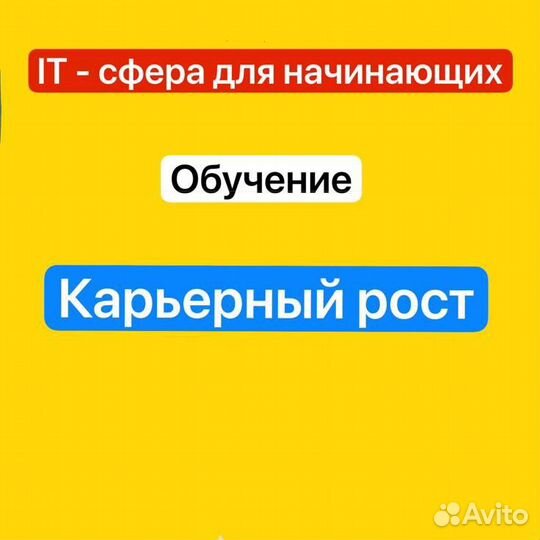 Начинающий IT-специалист