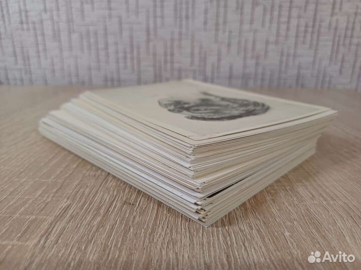 Графический портрет, 84 открытки, 1950-80е