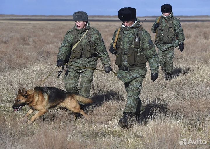 Ратник*Пограничник 2х*сторонний зимний