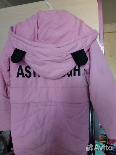 Отдам бесплатно