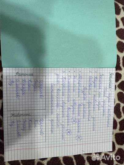 Перепишу конспект