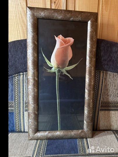 Постер, картина Роза