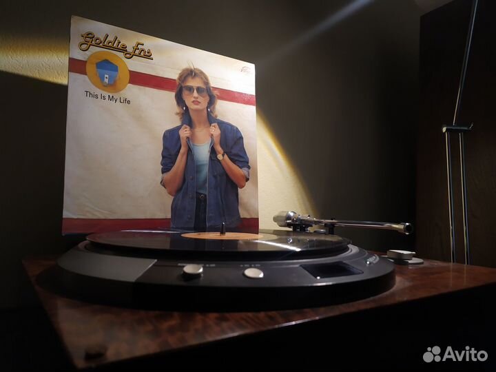 Виниловая пластинка Goldie Ens – This Is My Life