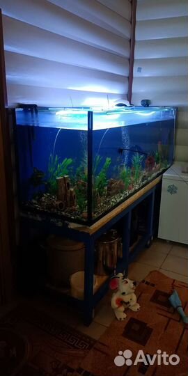 Аквариум 750л