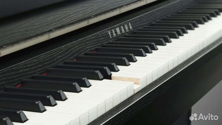 Музыкант фортепиано, живая музыка, репетиторство