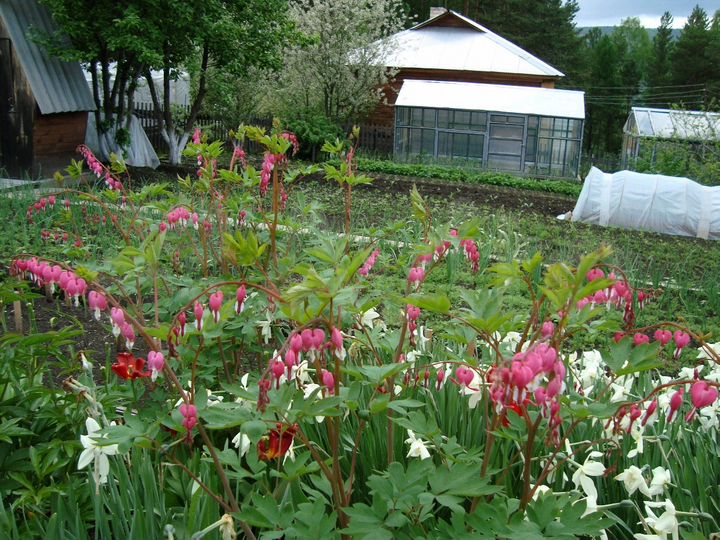 Дача 48 м² на участке 6 сот.