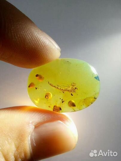 Натуральный янтарь с включением на заказ