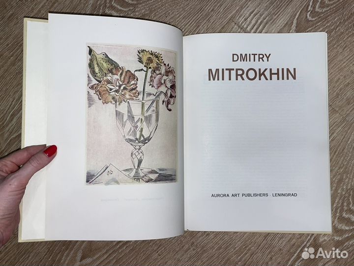 Дмитрий Митрохин (книга)