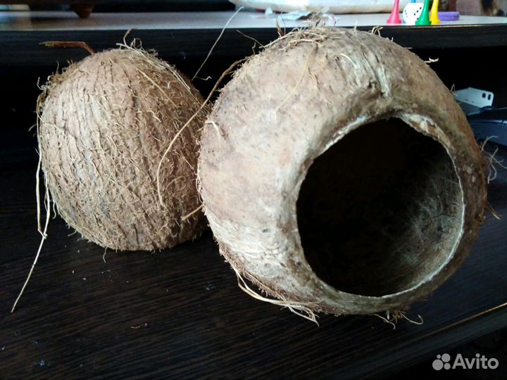 Кокосики домики для плавающих и ползучих