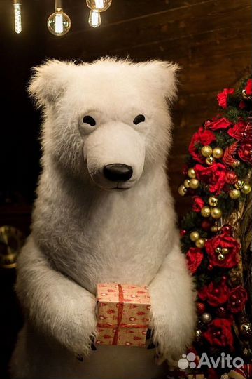 Продаю ростового медведя для мероприятий