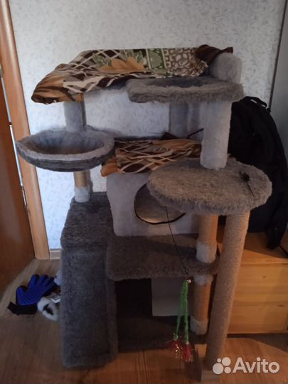 Домик, стенка, лежак, когтеточка для кошек