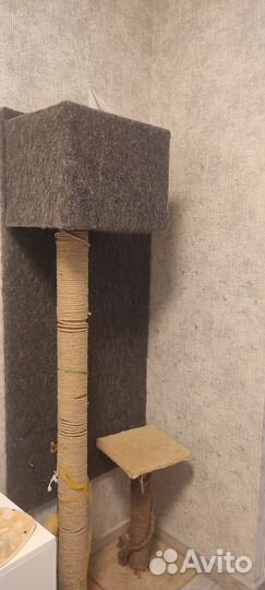 Кошкин дом когтеточка