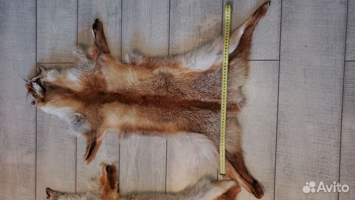 Шкурки лисы