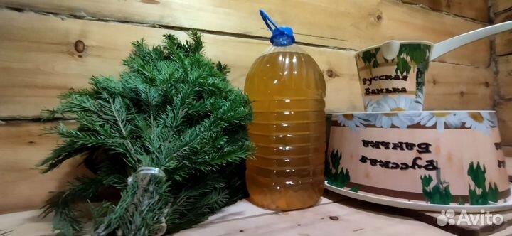 Пихтовый отвар