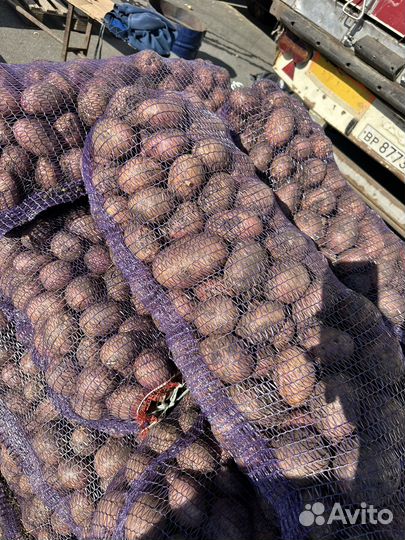 Овощи-фрукты