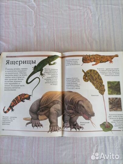 Книги для детей и подростков