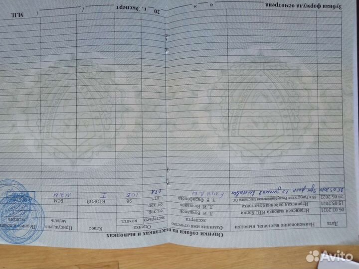 Вязка кобель