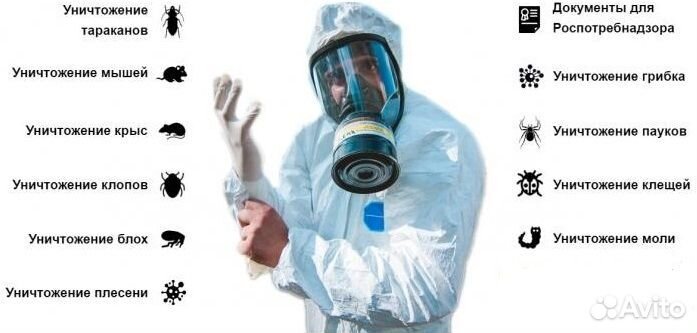 Дезинфекция тараканов, уничтожение клопов