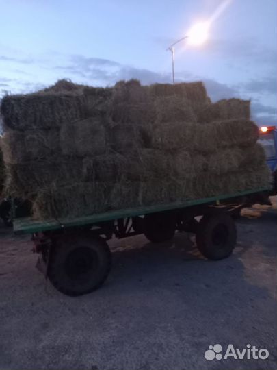 Сено в тюках