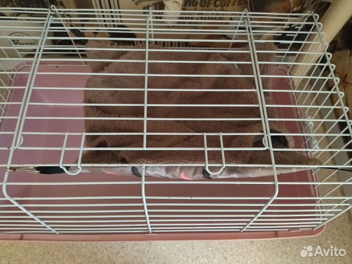Клетка для грызунов бу