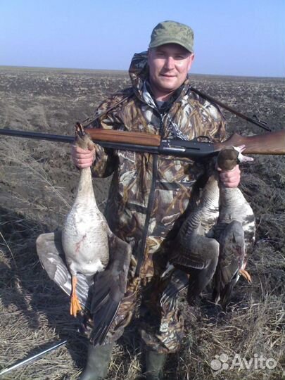 Охота на гуся