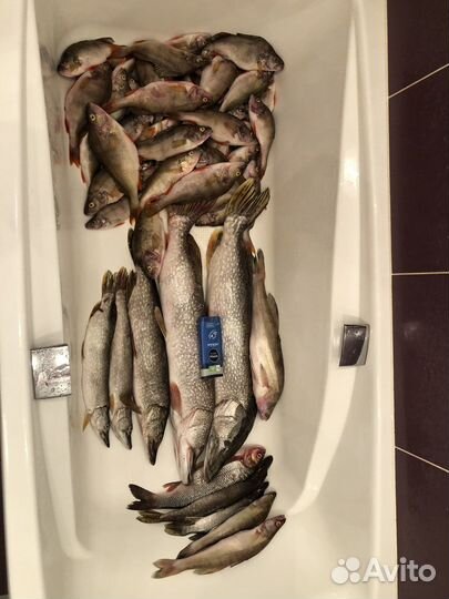 Рыболовная суперснасть «Балда V2.0». Серебро