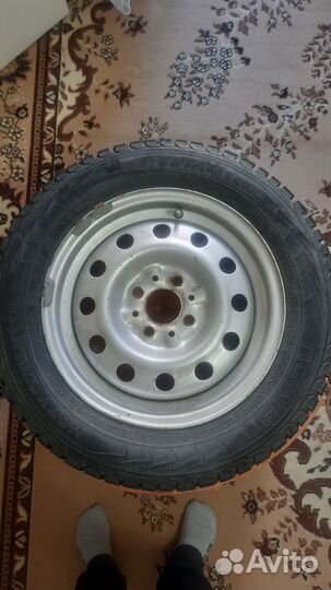 Nokian Tyres Hakkapeliitta 5 175/65 R14