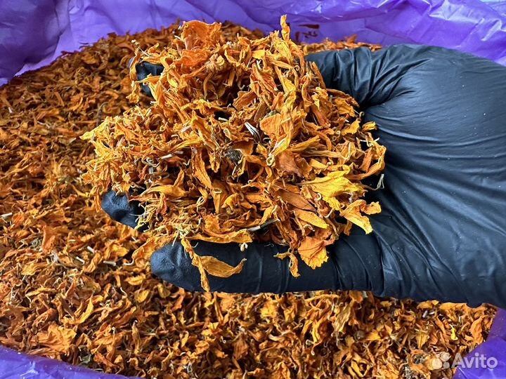 Шафран имеретинский