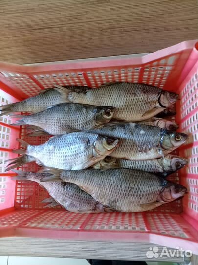 Рыба вяленая