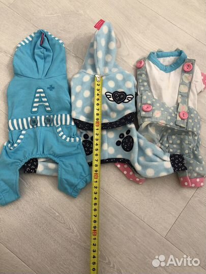 Одежда для собак