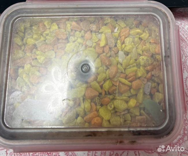 Декоративные камни