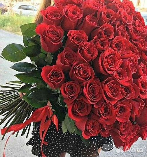 Розы Цветы Букеты 25 51 151 201 101 301 501 опт
