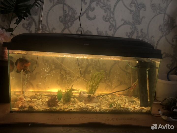 Аквариум 240 литров, 120/40/55, только самовыв