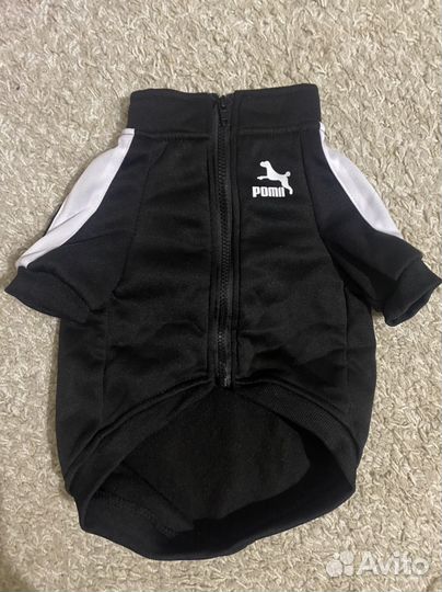 Одежда и аксесуары для собак