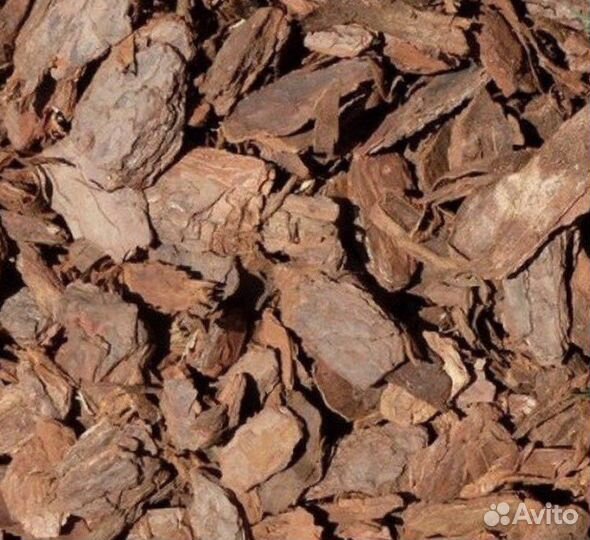 Кора лиственницы