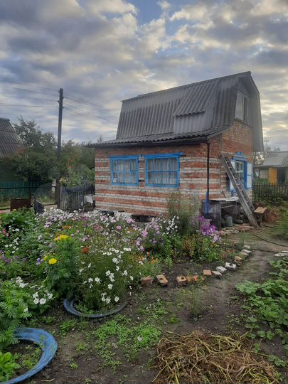 Дача 29 м² на участке 6 сот.