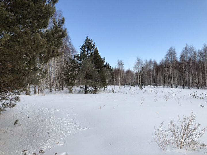 Участок 12,8 сот. (СНТ, ДНП)