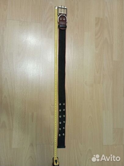 Ошейник для Вашей собаки