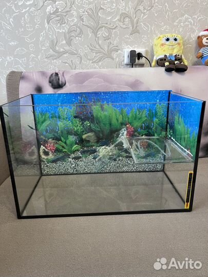 Акватерариум