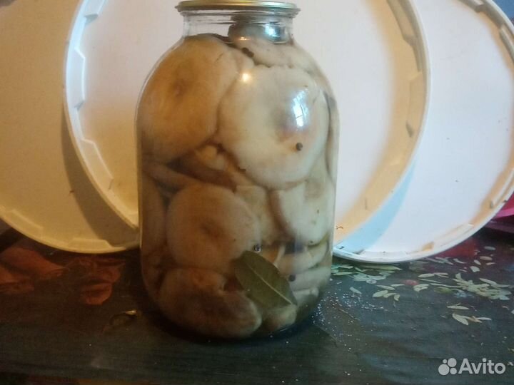 Грибы соленые