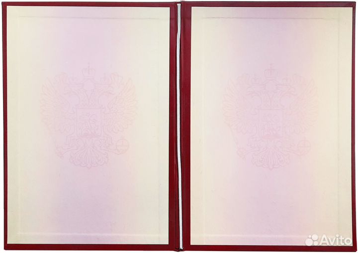 Обложка «Диплом кандидата наук»